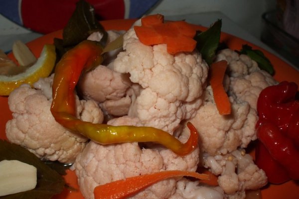 Conopida murata la borcan