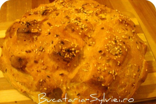 Paine bio cu multicereale