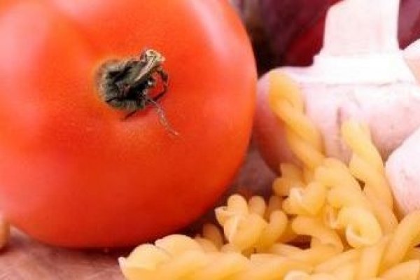 Retete cu ciuperci, delicioase si de Post