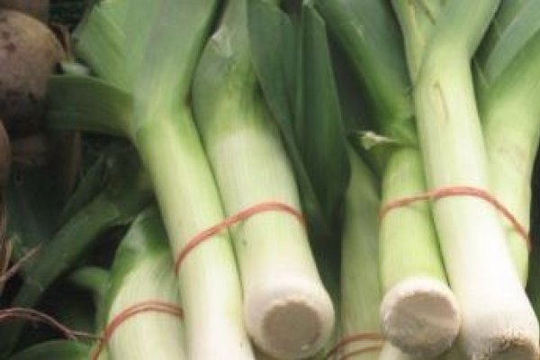 Prazul, recompensa faraonilor