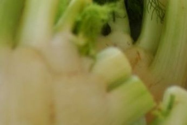 Cum gatim cu fenicul