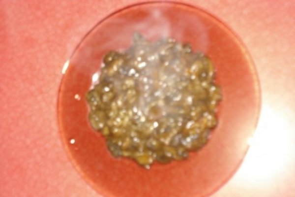 Ciuperci in sos iute cu usturoi