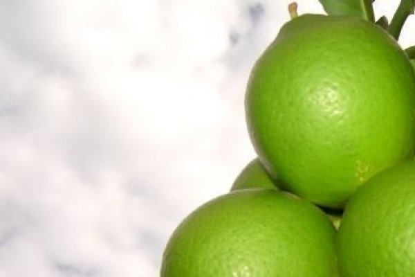 La ce alimente nu ati renunta nici in ruptul capului?