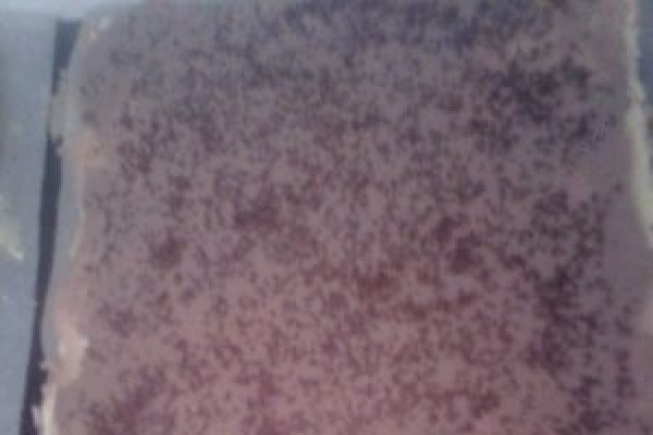 Prajitura cu foi Cristi