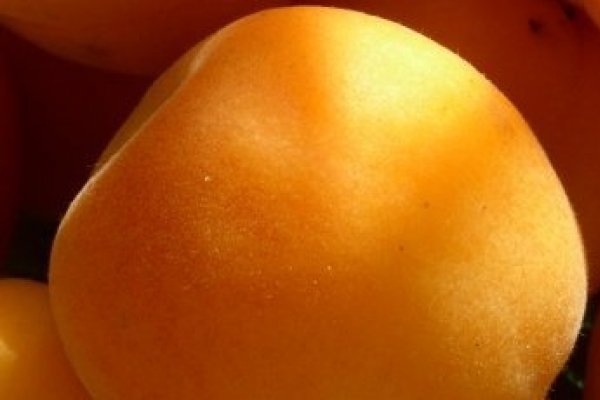 Cate ceva despre caise