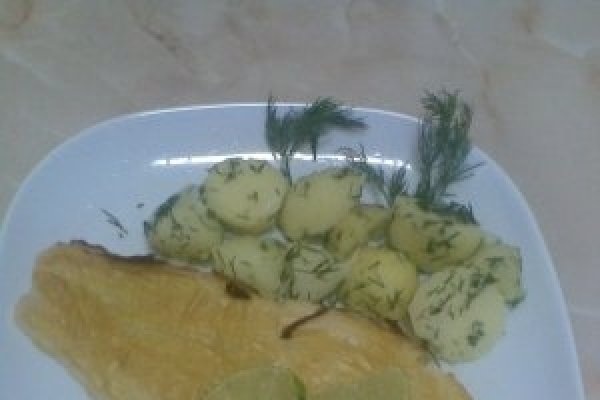 FILE DE PANGASIUS CU CRUSTA DE MUSTAR