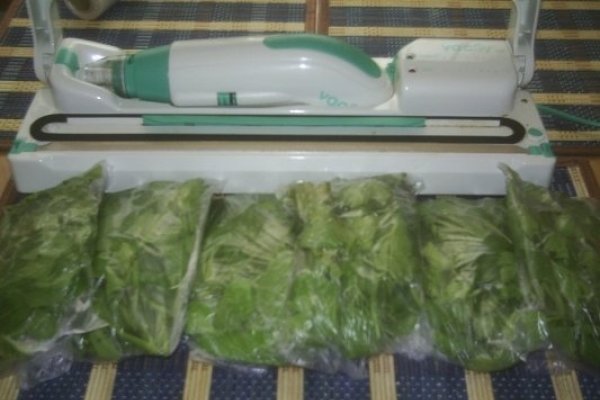 DIN CATEGORIA CONDIMENTE VERZI CONGELATE - LEUSTEAN VERDE