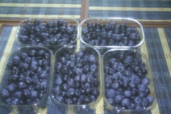 DIN CATEGORIA FRUCTE CRUDE CONGELATE - MURE,AFINE,ZMEURA