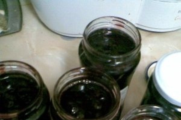 DULCEATA DE CIRESE AMARE