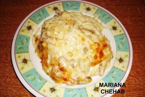 Spagete cu carne de gaina in sos peshamel