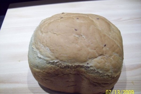 PAINE DE CASA (MASINA)