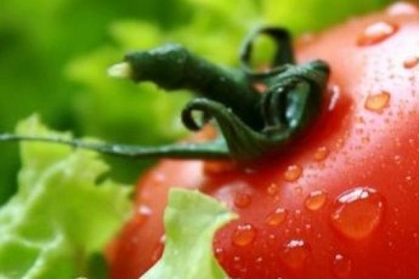 Cura de detoxifiere cu... rosii