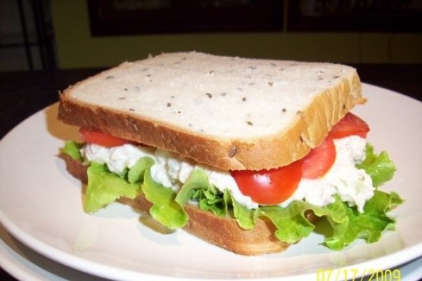 Sandwich de pui sanatos