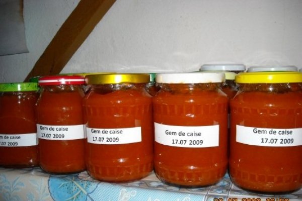 Gem de Caise Delicios