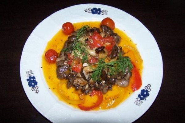 Ciuperci pleurotus Alina