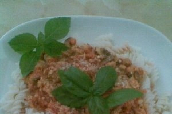 FUSILLI CU SOS DE CARNE CU ROSII