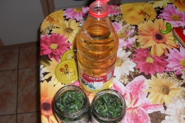 TARHON LA BORCAN, PT IARNA