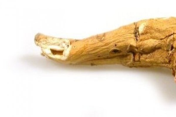 Hreanul - condiment si medicament