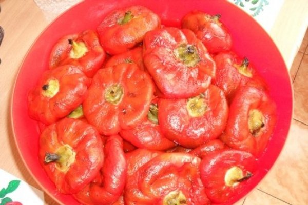 GOGOSARI PT CONGELATOR.