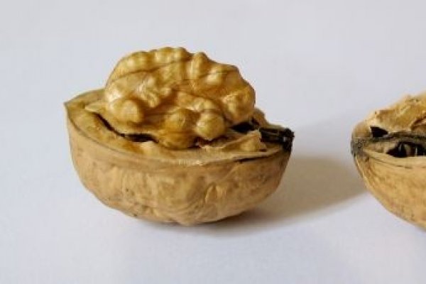 Povestea fascinanta a nucilor