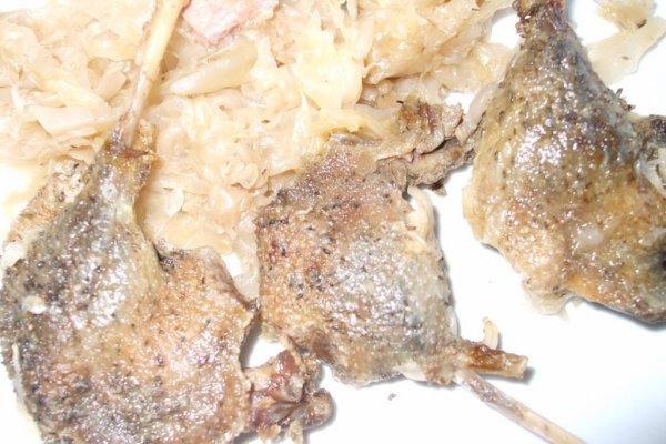 Rata salbatica cu varza