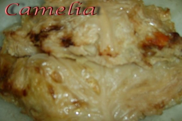 Piept de curcan invelit in foi de varza acra