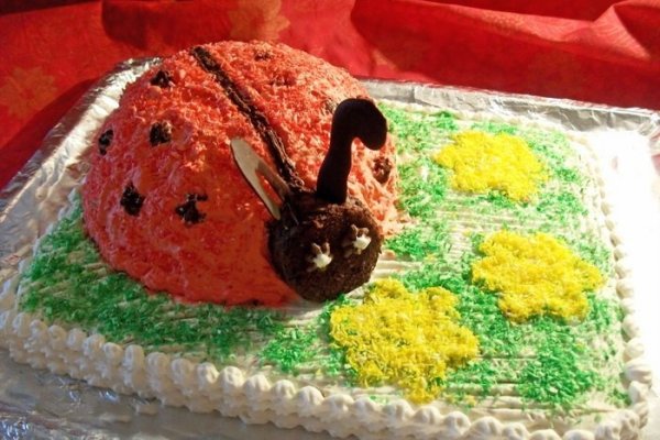 Tort Medovik cu buburuza