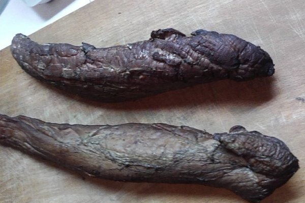 Muschi montana de casa