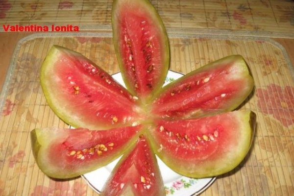 Pepenasi  verzi murati