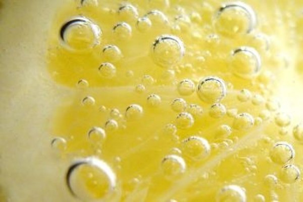 Secretele traditionalului suc de soc