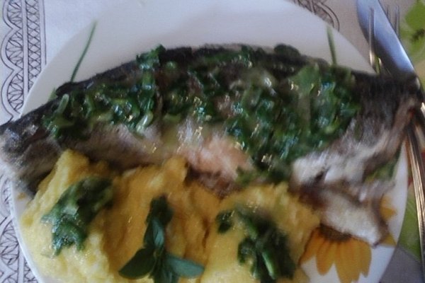 Pastrav prajit cu sos de usturoi verde