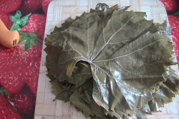 Frunze de vita de vie conservate pentru iarna