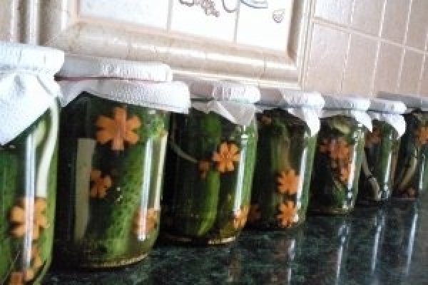 Castraveti in saramura