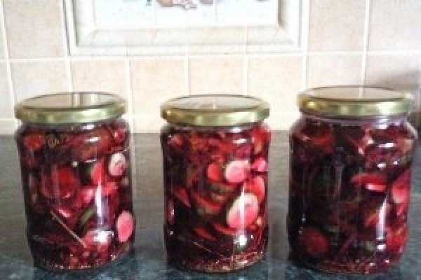 Castraveti picanti  cu sfecla rosie in saramura