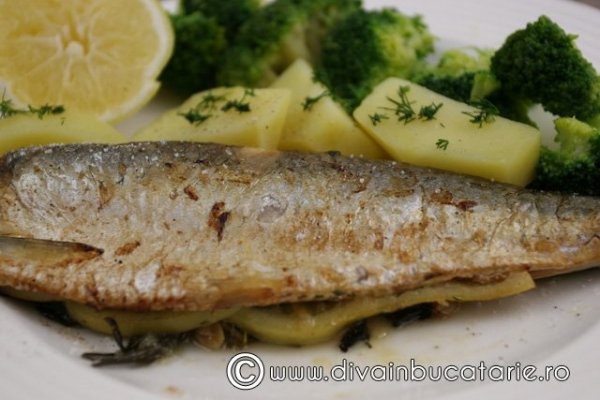 Scrumbie cu verdeturi la cutor