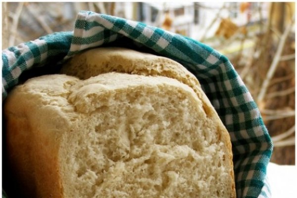 Paine traditionala rapida