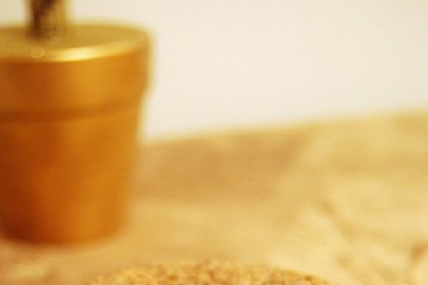 Cookies cu ciocolata