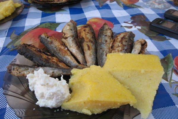 Sardina prajita, cu mamaliga si mujdei