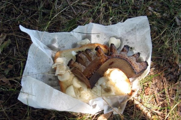 Clisă friptă şi pită picurată