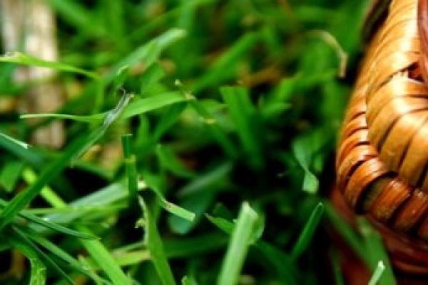 Delicii culinare pentru un picnic de 1 mai memorabil