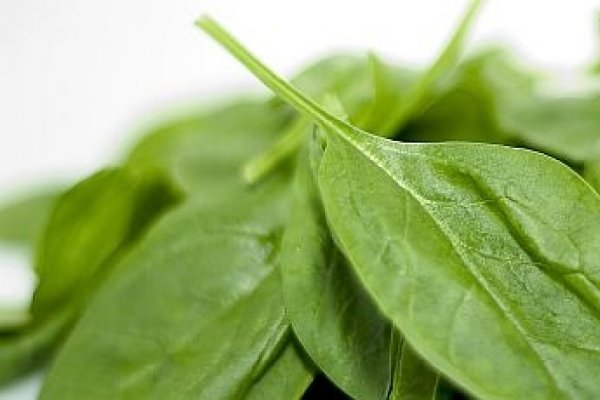 Arome de primavara: Sufleu de spanac si usturoi verde