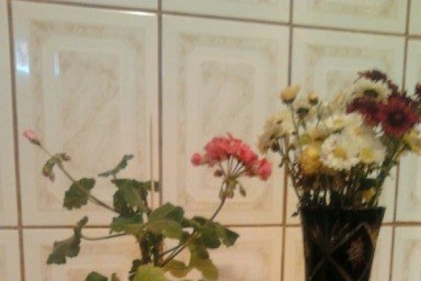 Guguluf cu glazura de ciocolata