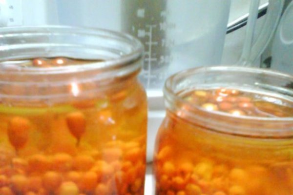 Catina cu miere de albine