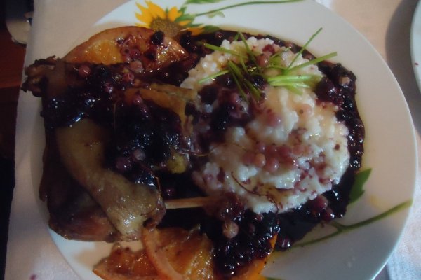 Friptura de rata cu sos de fructe de padure