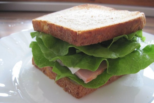 Sandwich sanatos