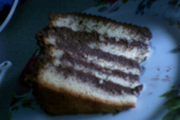Tort Buturuga