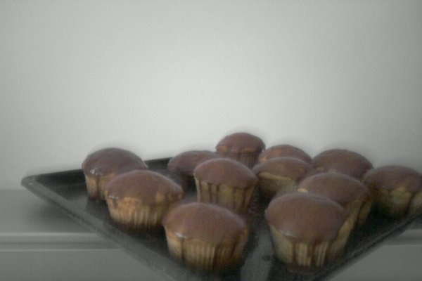 Ciuperci zburatoare - Briose