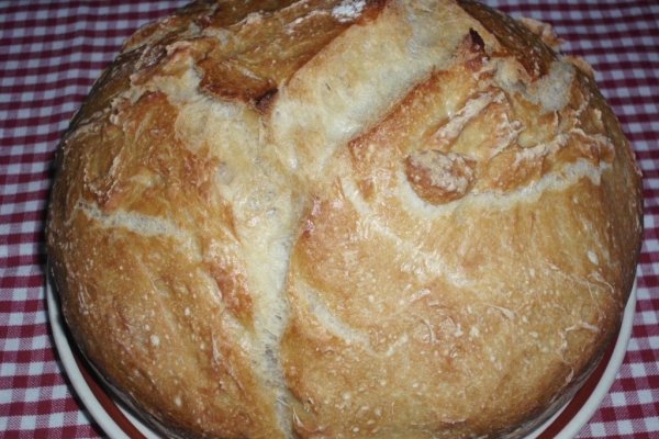 Paine alba fara framantare