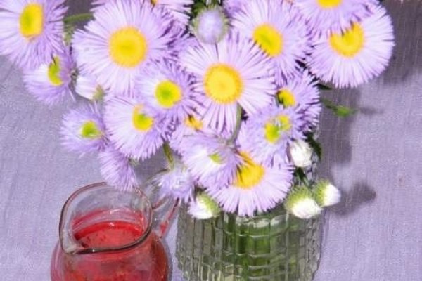 Cheesecake cu lapte condensat