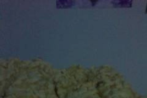 Patratele fragede cu branza